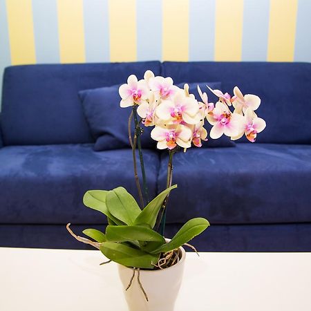Lemon Flats Sorrento Panzió Kültér fotó